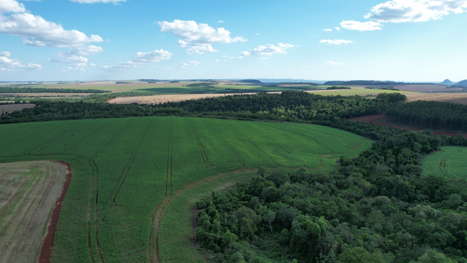 Visita de campo a un establecimiento agrícola en Paraguay